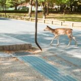 ドラクエウォークはつまらない？評価が下がっている理由とは？